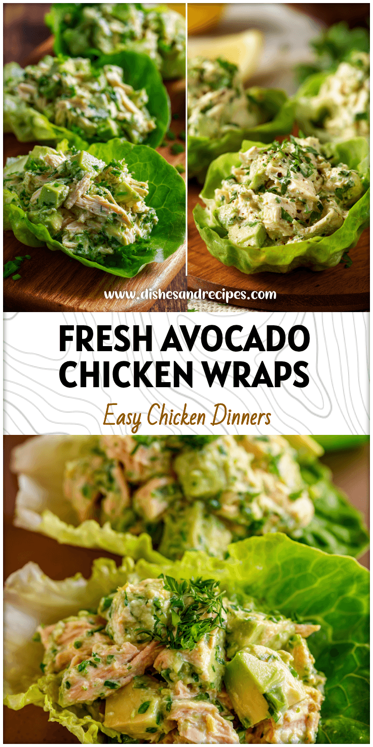 Fresh lettuce wraps filled with creamy avocado chicken salad for a light healthy lunch.